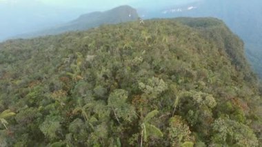 İnsansız hava aracı videosu, dağlı tropikal orman manzarası 