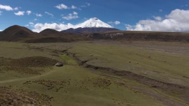 Yaz manzarasının insansız hava aracı videosu, yeşil çimenler 