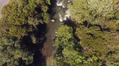 Yaz manzarası ve nehir buharı akışının hava görüntüsü 