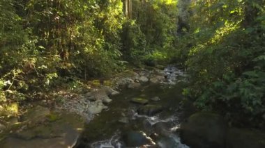 Nehir akışının yavaş çekim videosu, vahşi doğada su buharı. 