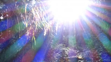 Tropikal orman ağaçları ve güneş ışığı merceklerinin parladığı bir video.
