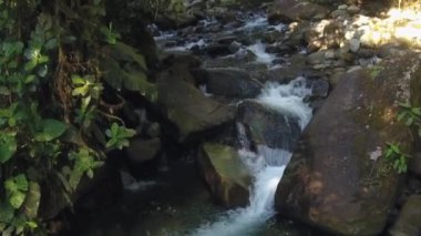 Nehir akışının yavaş çekim videosu, vahşi doğada su buharı. 