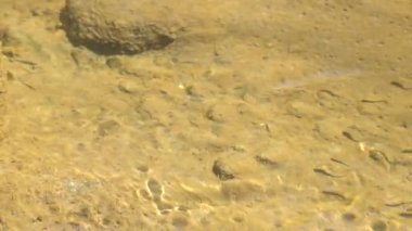 Su akışı, deniz dalgalanması, yavaş çekim videosu 