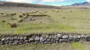 Yaz manzarasının insansız hava aracı videosu, yeşil çimenler 