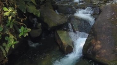 Nehir akışının yavaş çekim videosu, vahşi doğada su buharı. 