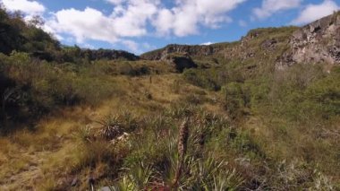 Yaz manzarasının ve bulutlu gökyüzünün hava görüntüsü