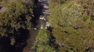 Yaz manzarası ve nehir buharı akışının hava görüntüsü 