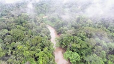Yağmur ormanlarının hava görüntülerinin yavaş görüntüleri 