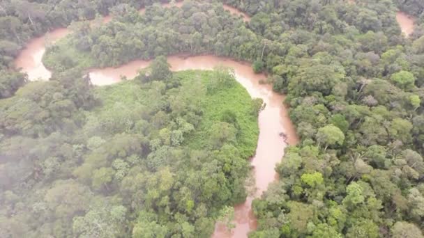 Flygfoto Video Skogslandskap Med Träd Tropisk Regnskog Ecuadorian Amazon — Stockvideo