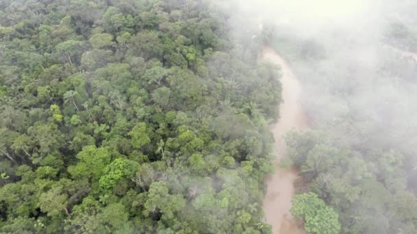 Luchtfoto Drone Video Van Rio Shiripuno Rivierstroming Tropisch Regenwoud Ecuadoraans — Stockvideo