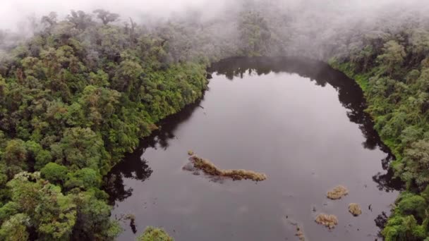 Hava Görüntüsü Orman Manzarası Ağaçlar Göl Suyu — Stok video