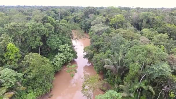 Flygfoto Video Skogslandskap Med Träd Tropisk Regnskog Ecuadorian Amazon — Stockvideo