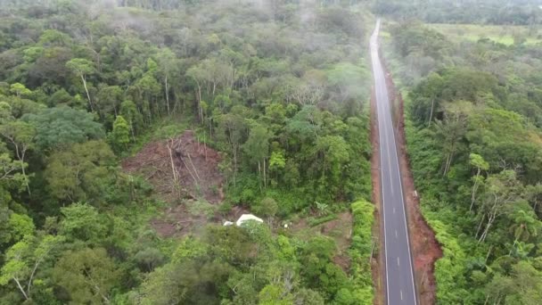 Video Vista Aérea Carretera Ecuador Selva Tropical Con Cabaña — Vídeos de Stock