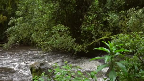 Video Rallentatore Del Flusso Acqua Del Fiume — Video Stock