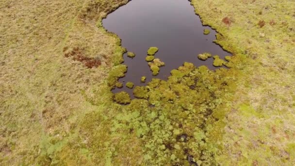 Flug Über See Und Grüne Graslandschaft — Stockvideo