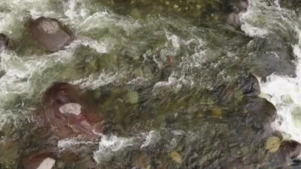 Видео Замедленного Движения Потока Речной Воды — стоковое видео