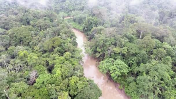 Luchtfoto Drone Video Van Rio Shiripuno Rivierstroming Tropisch Regenwoud Ecuadoraans — Stockvideo