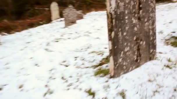 Video Paesaggio Innevato Con Tombe Sul Cimitero — Video Stock