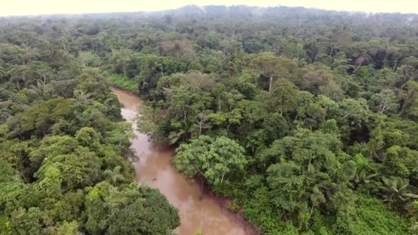 Widok Lotu Ptaka Wideo Drona Rio Shiripuno Przepływ Rzeki Tropikalny — Wideo stockowe