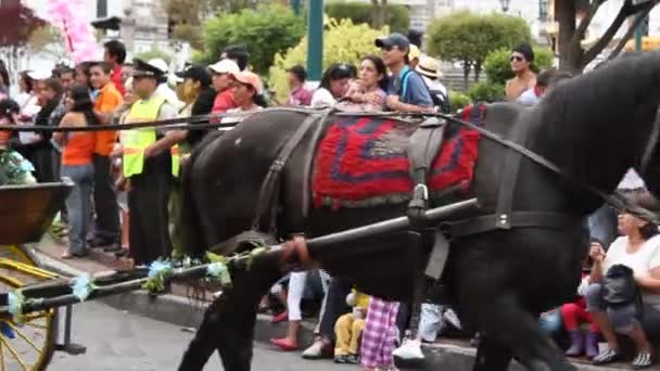 Video Van Parade Stadsstraat Mensen Paard Weg — Stockvideo