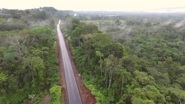 Video Flygfoto Våt Motorväg Väg Ecuador Regnskog Till Amazonas Bassäng — Stockvideo
