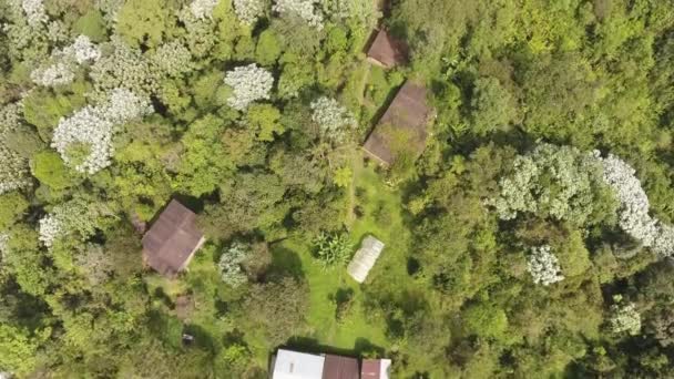 小さな村の家夏の季節木や植物のドローンビデオ — ストック動画