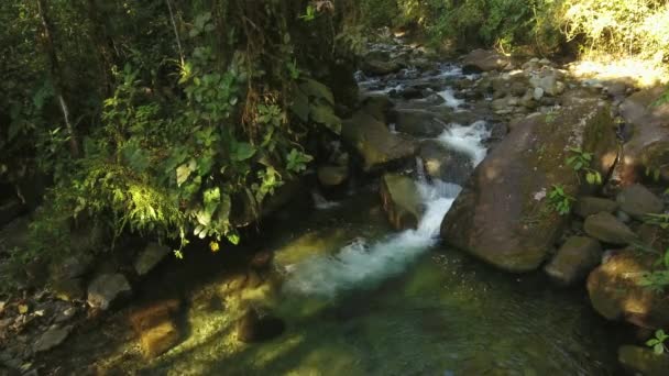 Slow Motion Video Van Rivier Stroom Water Stoom Wilde Natuur — Stockvideo