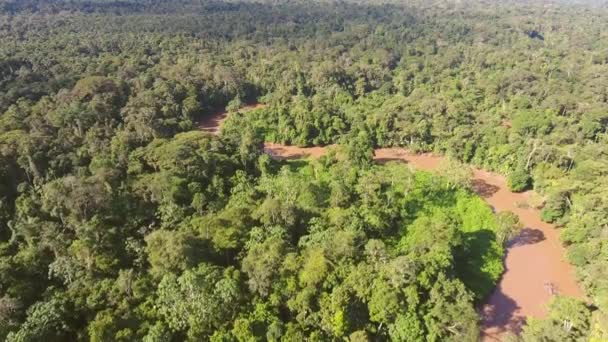 Flygfoto Video Skogslandskap Med Träd Tropisk Regnskog Ecuadorian Amazon — Stockvideo