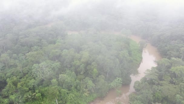 Vista Aérea Vídeo Drone Rio Shiripuno Fluxo Fluvial Floresta Tropical — Vídeo de Stock
