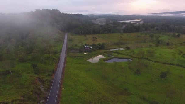 Video Luchtfoto Van Snelweg Ecuador Regenwoud Met Hut — Stockvideo