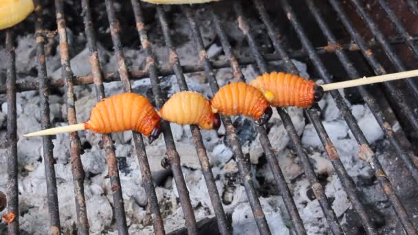 Cuisson Larves Comestibles Charançon Palmier Rhynchophorus Phoenicis Vidéo — Video