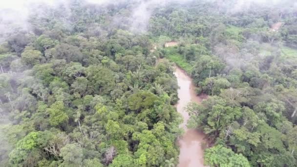 Luchtfoto Drone Video Van Rio Shiripuno Rivierstroming Tropisch Regenwoud Ecuadoraans — Stockvideo