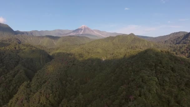 Vídeo Naturaleza Árboles Verdes Del Bosque Verano Montañas Furia Con — Vídeos de Stock