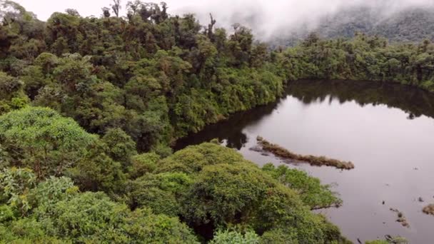 Luftaufnahme Drohnenvideo Der Waldlandschaft Mit Bäumen Und Seewasser — Stockvideo