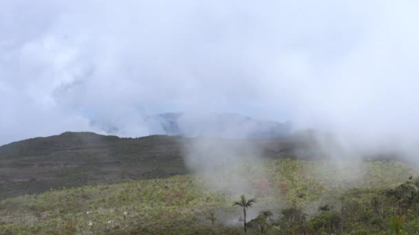vidéo de paysage montagneux avec herbe verte, plantes et nuages