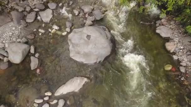 Widok Lotu Ptaka Wideo Krajobrazu Przepływem Rzeki — Wideo stockowe