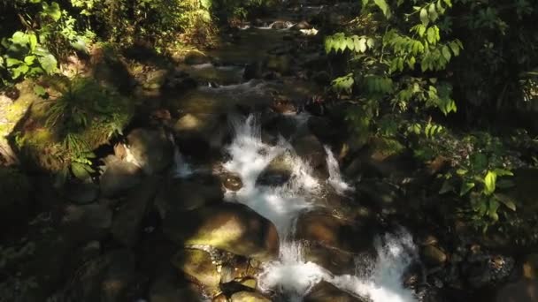 Zpomalené Video Toku Řeky Vodní Pára Divoké Přírodě — Stock video