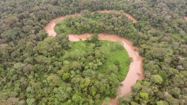 熱帯林の木々の葉や川の流れの空中ビュー — ストック動画