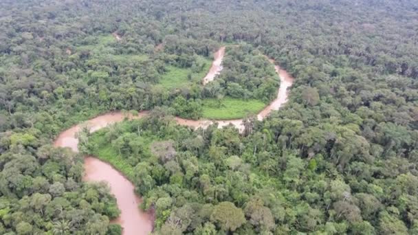 Luftbild Video Von Waldlandschaft Mit Bäumen Tropischem Regenwald Ecuadorianischen Amazonas — Stockvideo