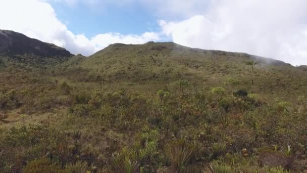 Vídeo Paisajes Montañosos Con Hierba Verde Plantas Nubes — Vídeos de Stock