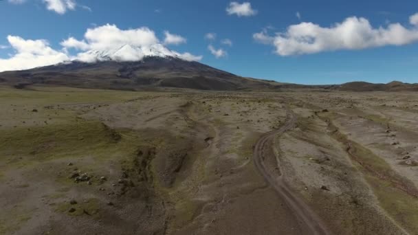 Drone Video Paisaje Verano Hierba Verde — Vídeos de Stock