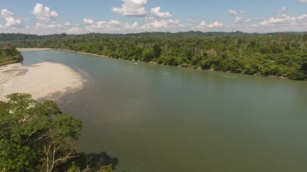 Tropikal Orman Ağaçları Nehir Suyu Bulutlu Gökyüzü Üzerine Manzaralı Bir — Stok video