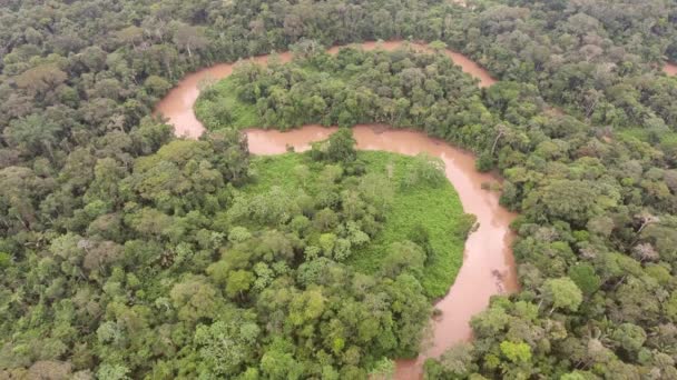 Luftaufnahme Video Ansicht Auf Tropischen Waldbäumen Laub Und Flusslauf — Stockvideo
