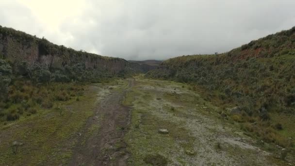 飞越夏季风景的视频 在科托帕西火山斜坡上的沟渠 — 图库视频影像