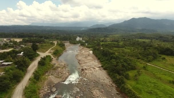Відео Над Зеленим Літнім Пейзажем Річковим Потоком — стокове відео
