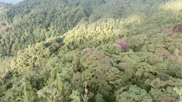 Långsam Inspelning Flygbilder Regnskogen — Stockvideo