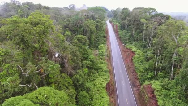 Video Flygfoto Motorvägen Ecuador Regnskog Med Hydda Hus — Stockvideo