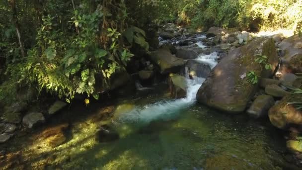 Slow Motion Video Przepływu Rzeki Pary Wodnej Dzikiej Przyrodzie — Wideo stockowe