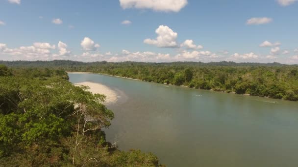 Vídeo Cênico Sobre Árvores Florestais Tropicais Fluxo Água Rio Céu — Vídeo de Stock