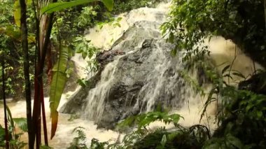 Tropikal yaprakların ve kahverengi nehir akışının videosu 